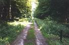 forêt de mormal