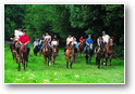 chevaux