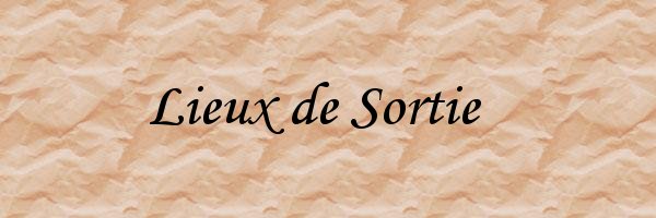 sortie