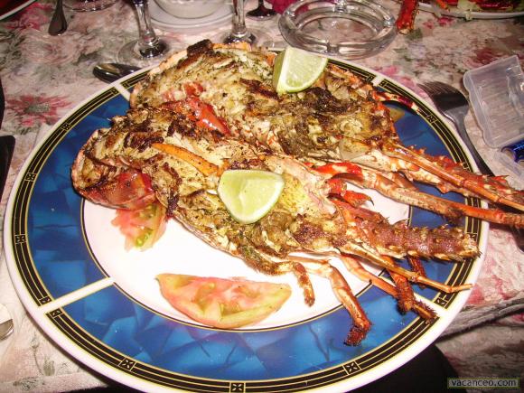 langoustes grillées
